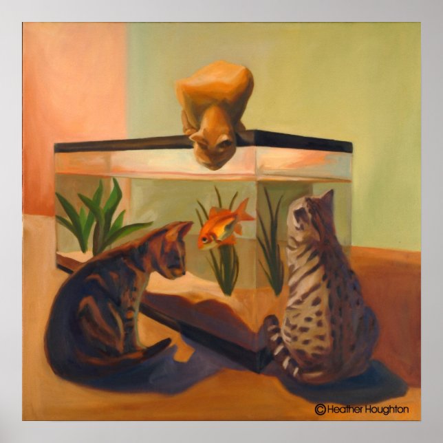 Poster Les chats regardent le poisson (Devant)