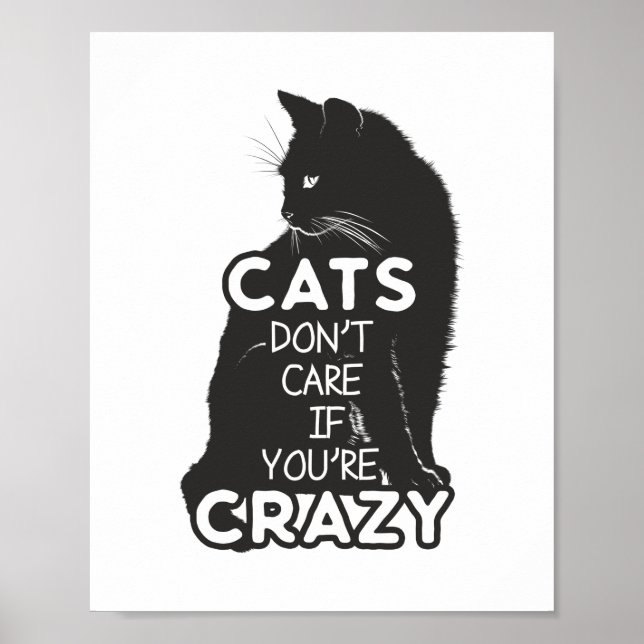Poster Les chats s'en fichent si vous êtes fou amusant (Devant)