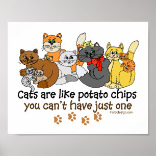 Poster Les chats sont comme des chips