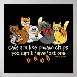 Poster Les chats sont comme des chips
