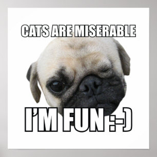 POSTER LES CHATS SONT MALHEUREUX JE SUIS AMUSANT : -) MEM