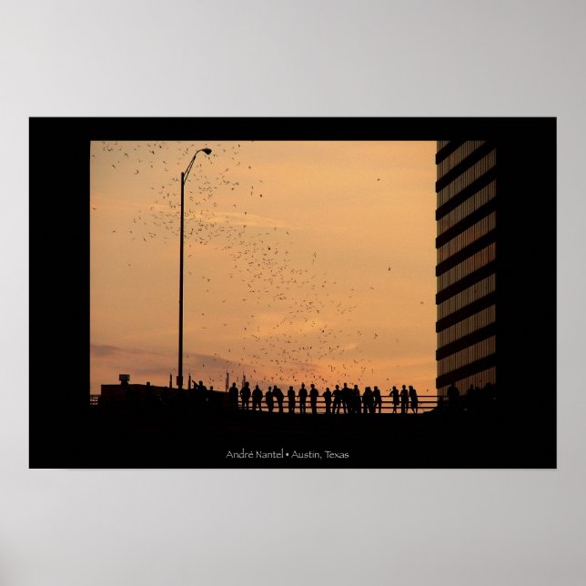 Poster Les chauves-souris d'Austin (Devant)