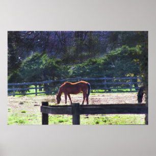 Poster Les chevaux à l'affiche de la ferme