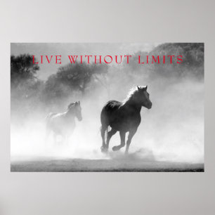 Poster Les Chevaux Motivationnels Vivent Sans Limites