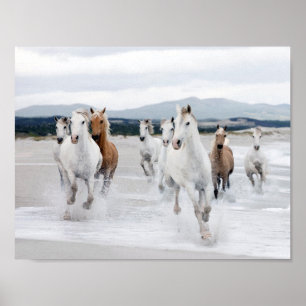 Poster Les Chevaux sauvages qui courent sur la plage