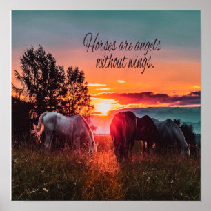 Poster Les chevaux sont des anges sans ailes