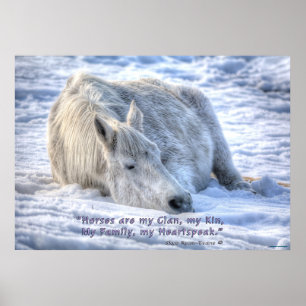 Poster Les chevaux sont ma citation de clan Mare endormi 