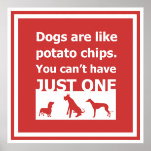 Poster Les chiens sont comme des chips