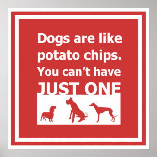 Poster Les chiens sont comme des chips