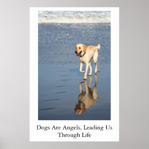 Poster Les Chiens Sont Des Anges