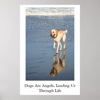 Poster Les Chiens Sont Des Anges