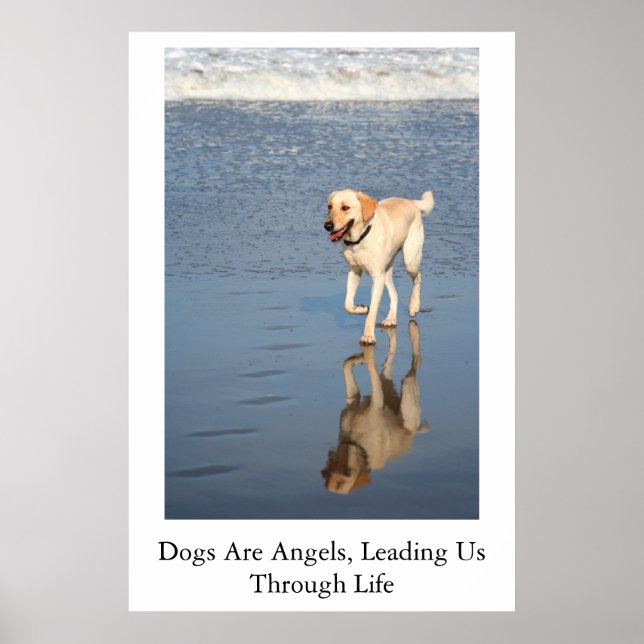 Poster Les Chiens Sont Des Anges (Devant)