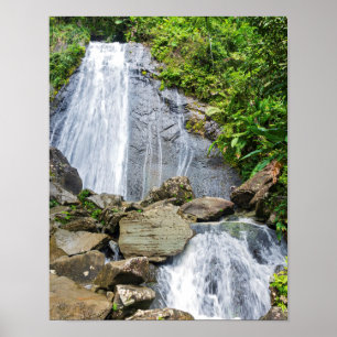 Poster Les chutes de la coca dans la forêt nationale d'el