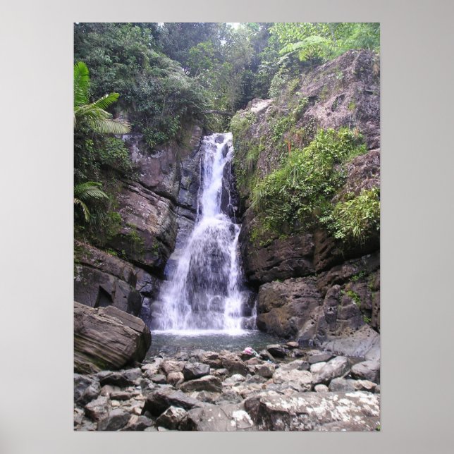 Poster Les chutes de La Mina (Devant)