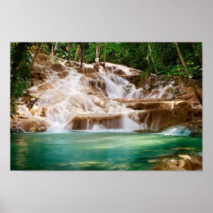 Poster Les chutes de la rivière Jamaica Dunn