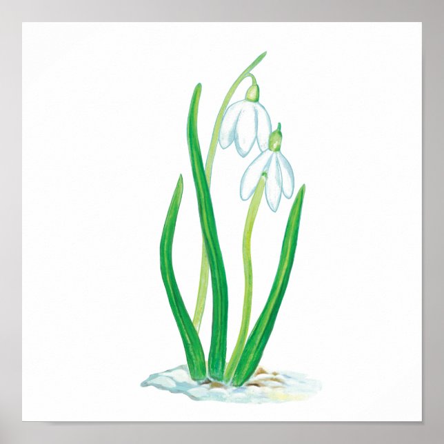 Poster Les chutes de neige en neige (Devant)