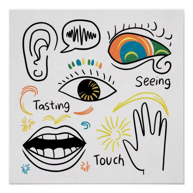 Poster Les cinq sens (Devant)