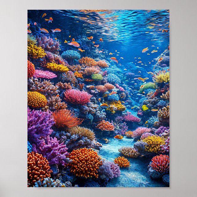 Poster Les coraux et la mer (Devant)