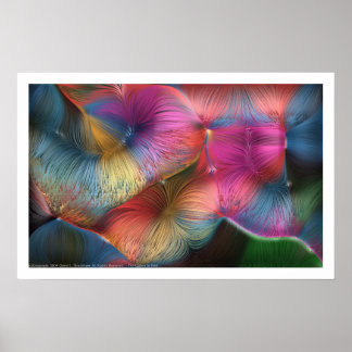 Poster Les Couleurs Des Cheveux