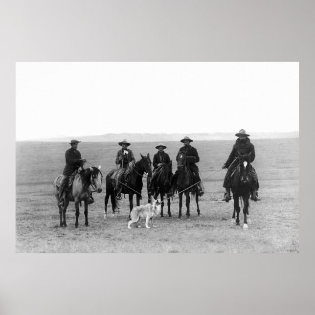 Poster Les cow-boys font un loup gris : 1887 (Devant)