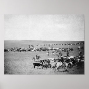 Poster Les cowboys avec du bétail sur la chaîne Photograp