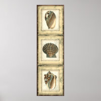 Les Créatures marines au bord de l'eau