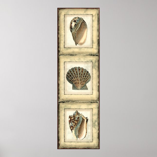 Poster Les Créatures marines au bord de l'eau (Devant)