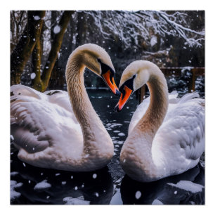 Poster Les cygnes romantiques dans les merveilles hiverna