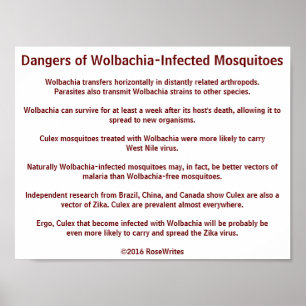 Poster Les dangers des moustiques à la Wolbachia par Rose