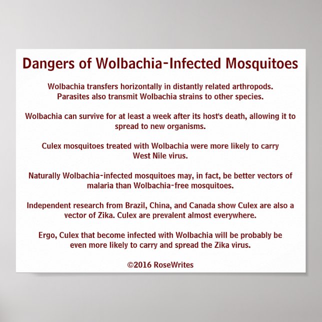 Poster Les dangers des moustiques à la Wolbachia par Rose (Devant)