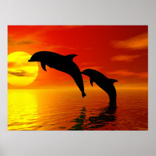 Poster Les dauphins sautant l'affiche de coucher du