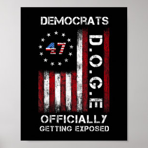 Poster Les Démocrates Doge Se Font Officiellement Exposer
