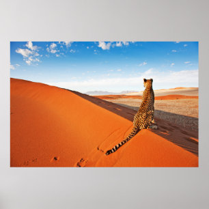 Poster Les déserts Désert de Cheetah Savannah
