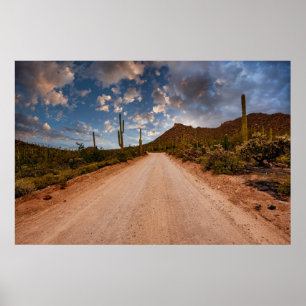 Poster Les déserts   Parc national du Saguaro Arizona