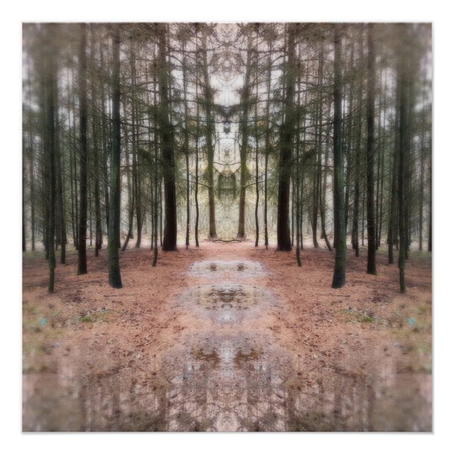 Poster Les Divins des Pines (Devant)