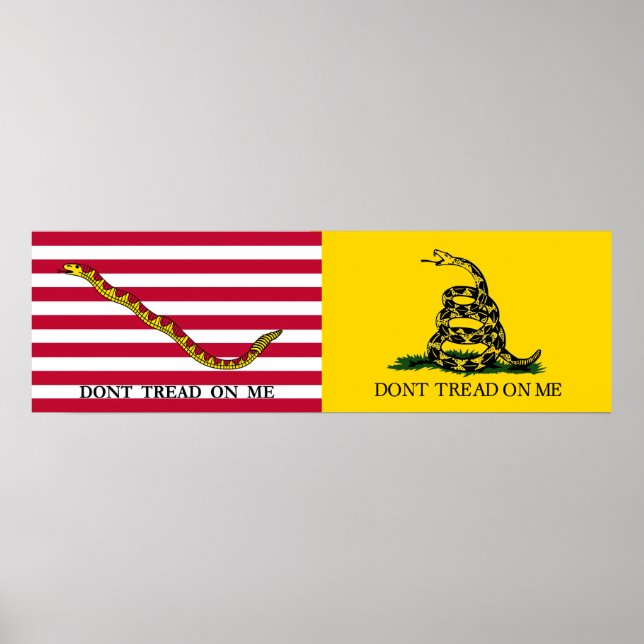 Poster Les drapeaux de la Marine Jack & Gadsden - Vers 17 (Devant)