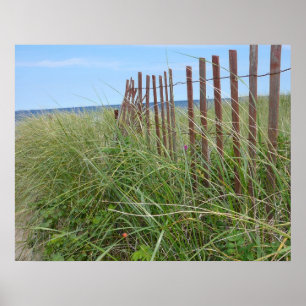 Poster Les dunes de Cape Cod