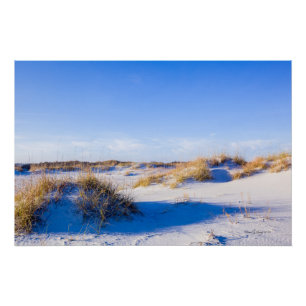 Poster Les dunes de plage de Wrightsville