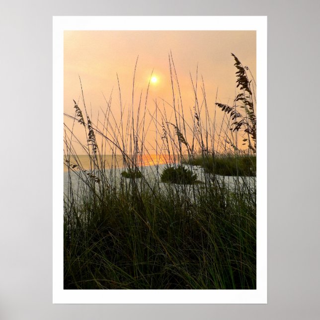 Poster Les dunes océaniques (Devant)