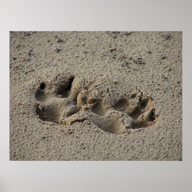Poster Les empreintes de l'espoir dans la toile de sable  (Devant)