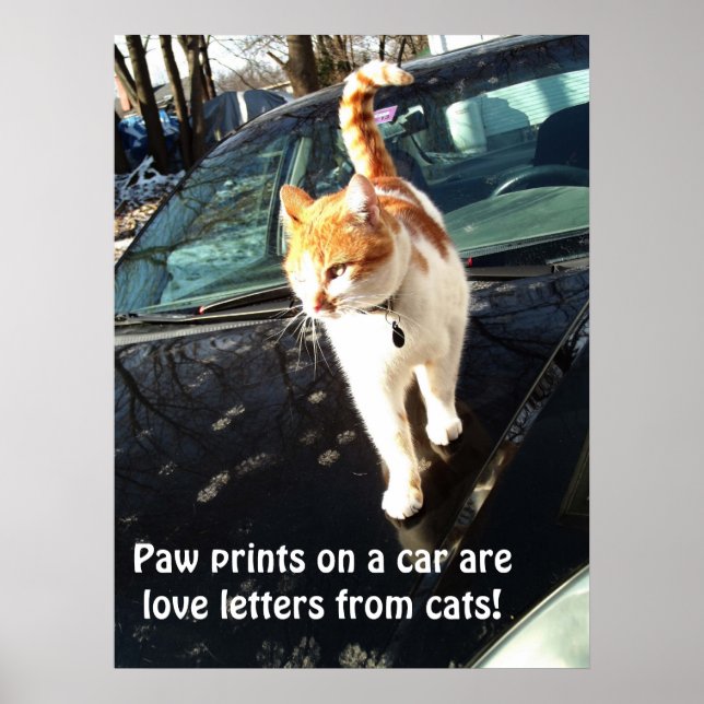 Poster Les Empreintes de pattes En Voiture Sont Des Lettr (Devant)