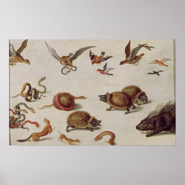 Poster Les ennemis des serpents (Devant)