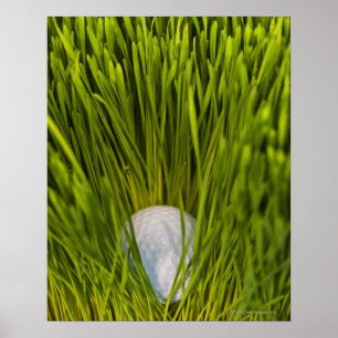 Poster Les Etats-Unis, New Jersey, Jersey City, vue en