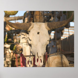 Poster Les Etats-Unis, Nouveau Mexique, Mesilla : Plaza