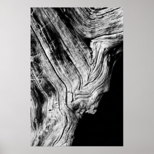 Poster les étoiles le disent