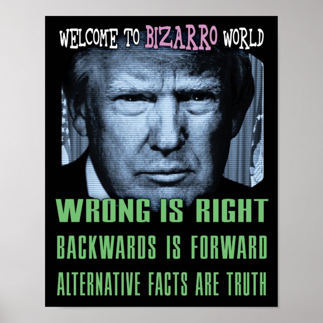 Poster Les faits alternatifs sont la vérité - anti-présid (Devant)