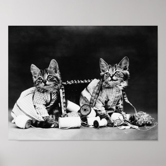 Poster Les fauteurs de troubles - Harry Whittier Frees (Devant)