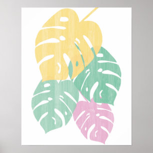 Poster Les Feuilles de Monstera