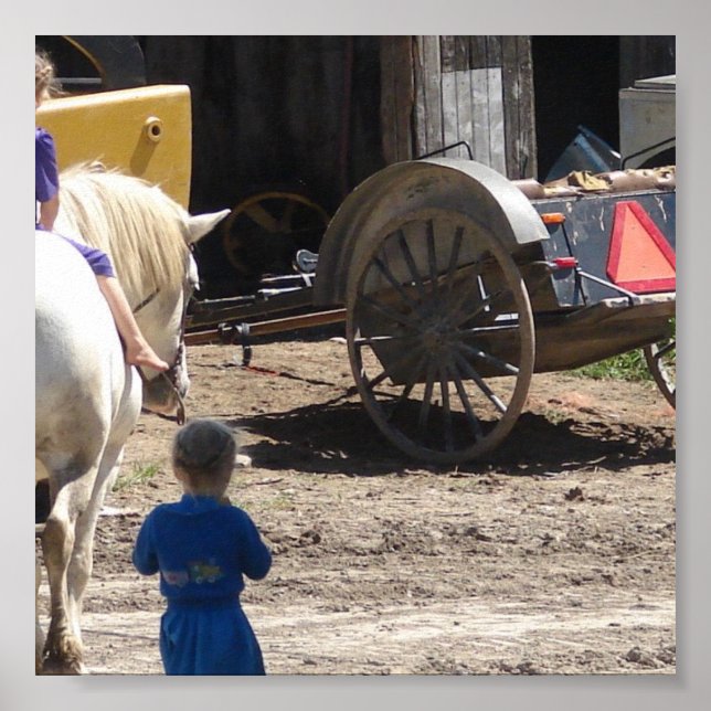 Poster Les filles Amish et leur cheval (Devant)
