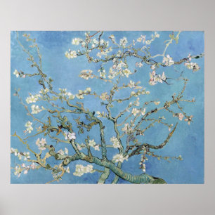 Poster Les fleurs d'amandes de Vincent Van Gogh